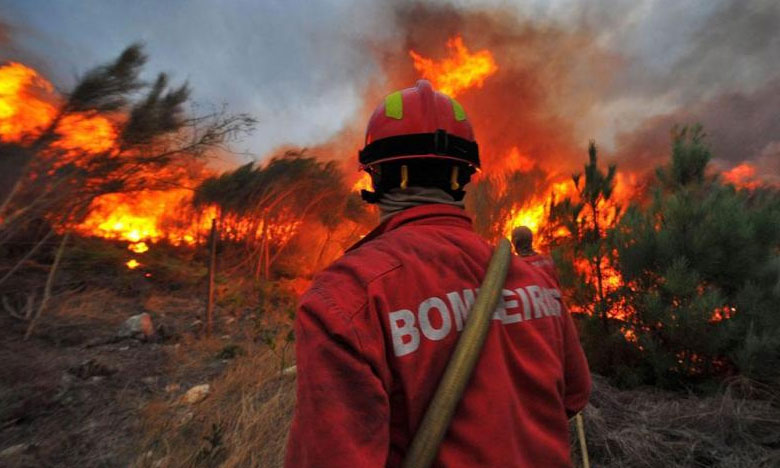 Aplicação criada por estudantes ajuda bombeiros no combate a incêndios