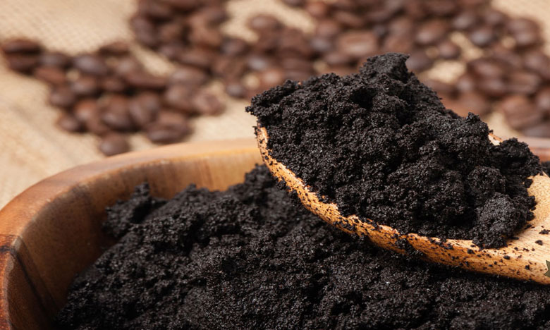 Bioplástico produzido em Portugal com borras de café vence concurso de ciência