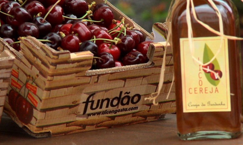Cereja do Fundão: o rubi da Serra da Gardunha