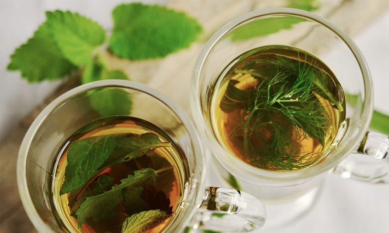 Chá dos Açores contém substância que combate demências