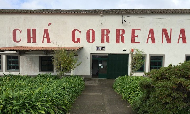 Chás dos Açores em destaque na Hungria
