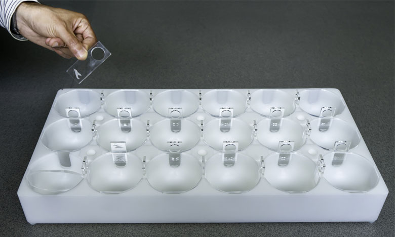 Cientistas de Portugal e Espanha inventam sistema de estudo do ambiente