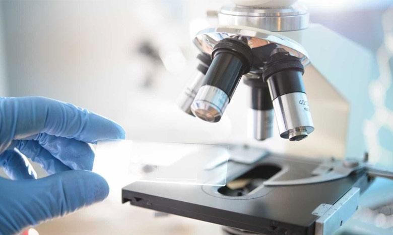 Cientistas marcam manifestação para tentar evitar regresso à emigração