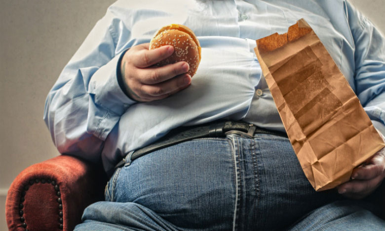 Cientistas portugueses descobrem células do sistema imunitário que contribuem para a obesidade