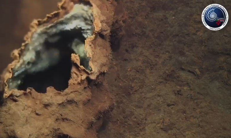 Cientistas portugueses descobrem um novo campo hidrotermal nos Açores