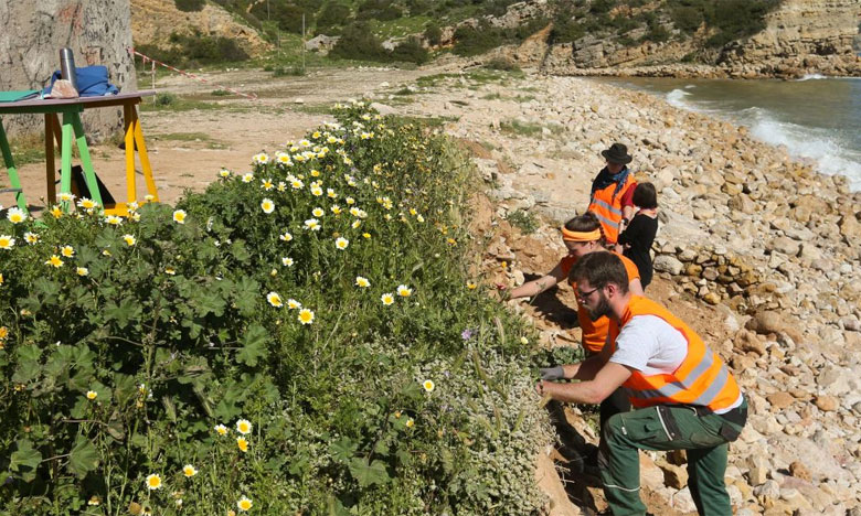 Cientistas portugueses e alemães estudam ocupação romana na Boca do Rio
