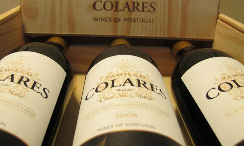 Críticos e revistas internacionais distinguem Vinhos Casal Sta Maria