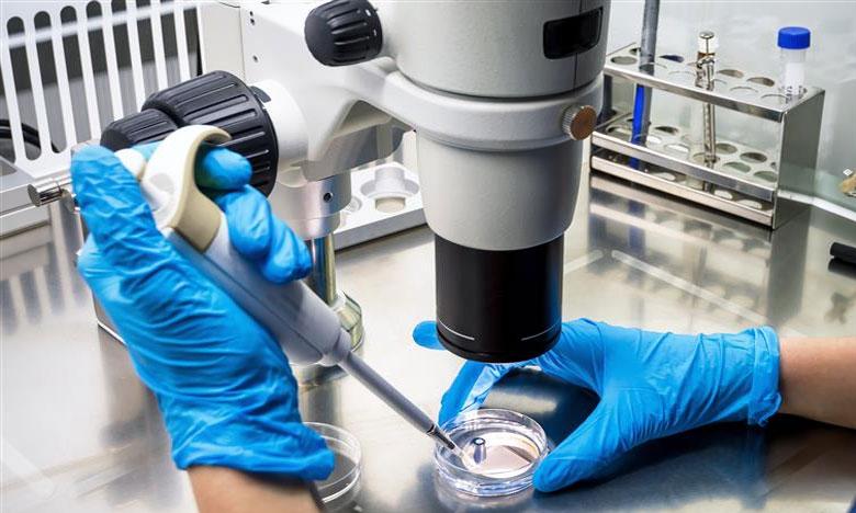 Descoberto mecanismo da perda de memória em doentes de Parkinson