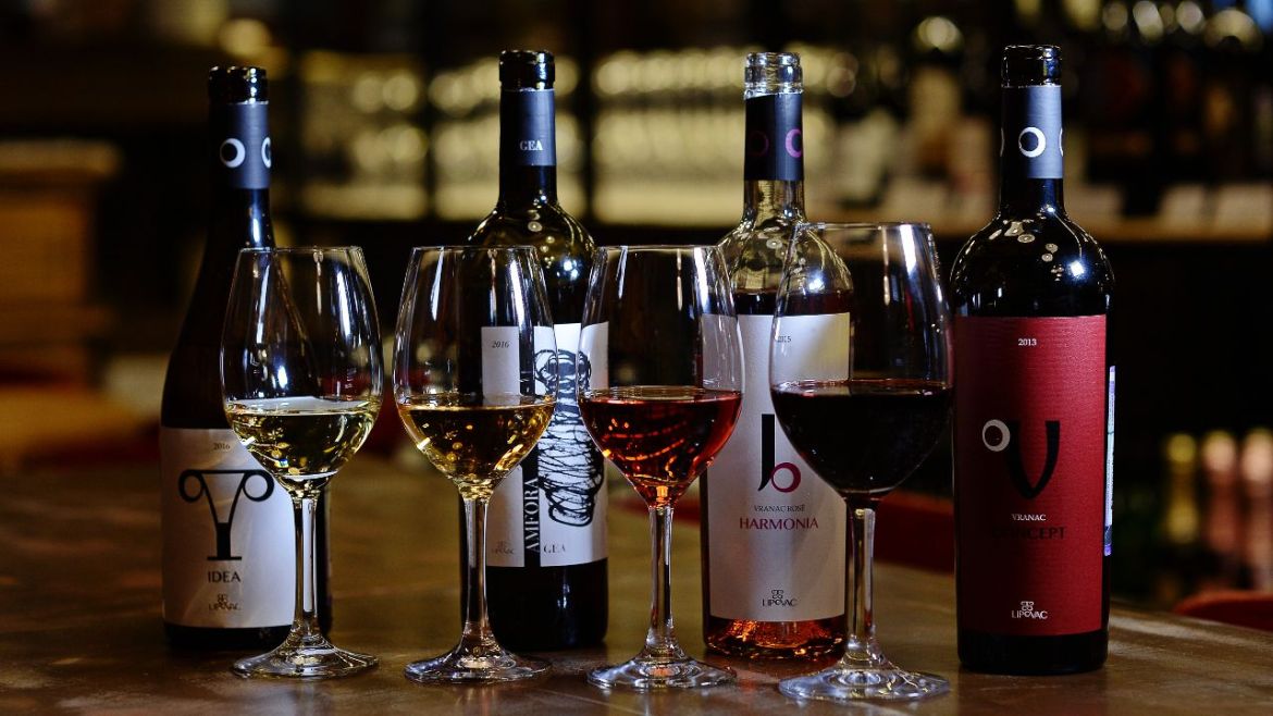 Descobrir os vinhos do Montenegro