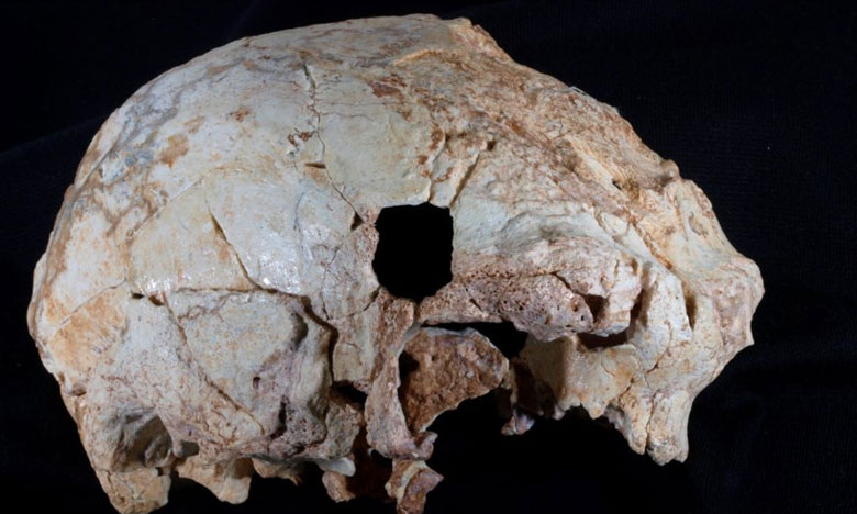 Encontrado fóssil humano mais antigo de sempre em Portugal