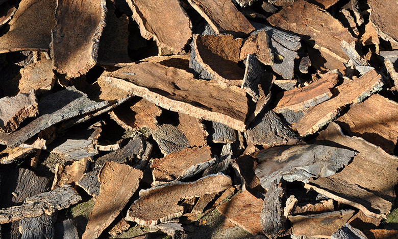 Escudos de cortiça criados em Portugal vão proteger amostras recolhidas em Marte