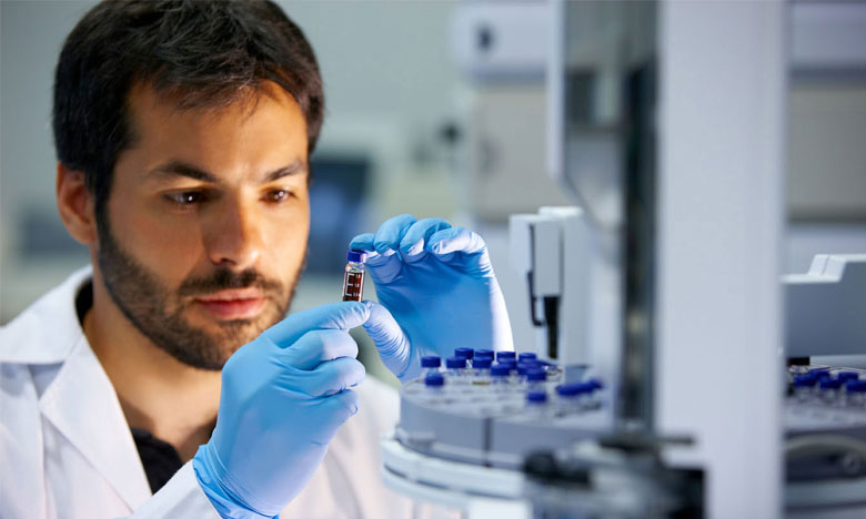 FCT atribui 1200 bolsas de investigação