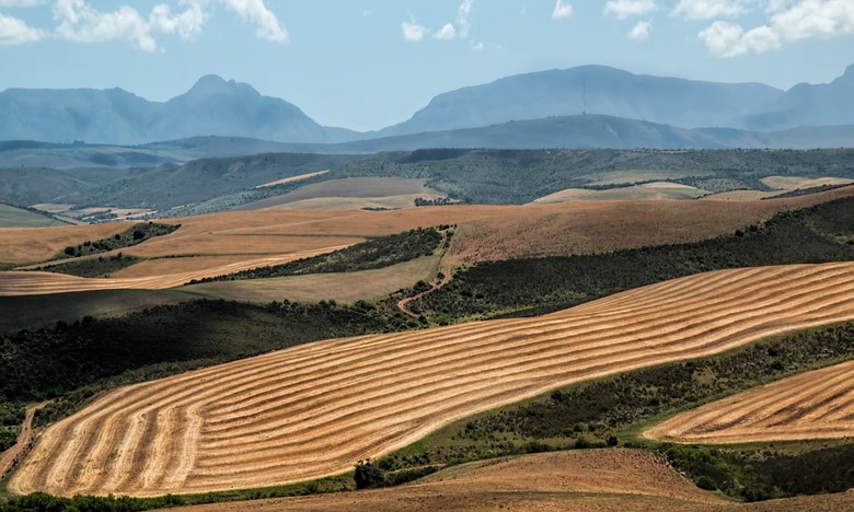 Fundo Internacional de Desenvolvimento Agrícola vai investir perto de 60 milhões de euros na Guiné-Bissau