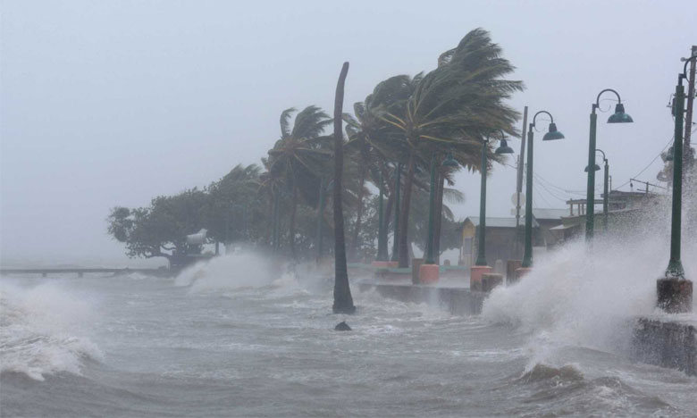 Furacão Irma: Instituto Camões dá ajuda de 50 mil euros a Cuba
