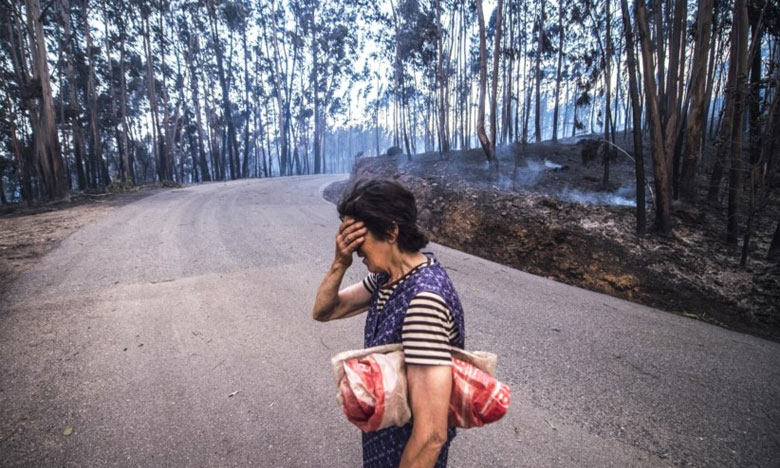 Governo cria fundo financeiro para apoiar vítimas dos incêndios
