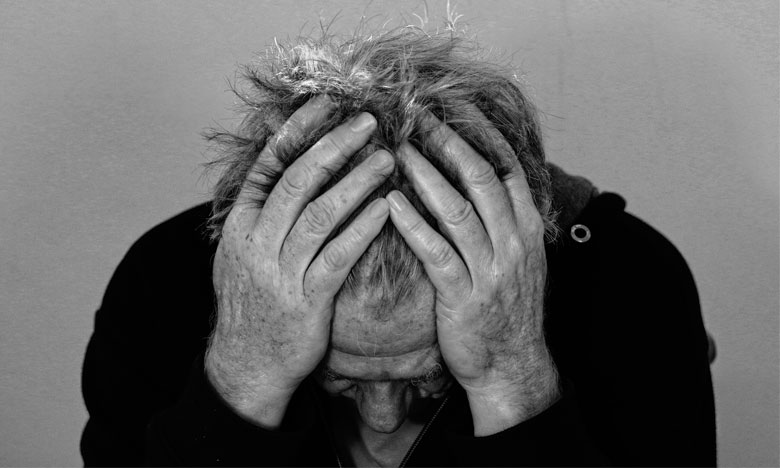 Investigadora portuguesa recebe uma das principais bolsas do mundo