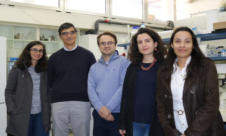 Investigadores de Coimbra desenvolvem molécula natural para substituir o tóxico estireno