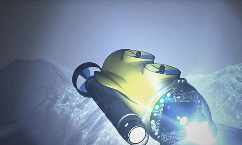 Investigadores portugueses estão na final da competição internacional para explorar mar profundo