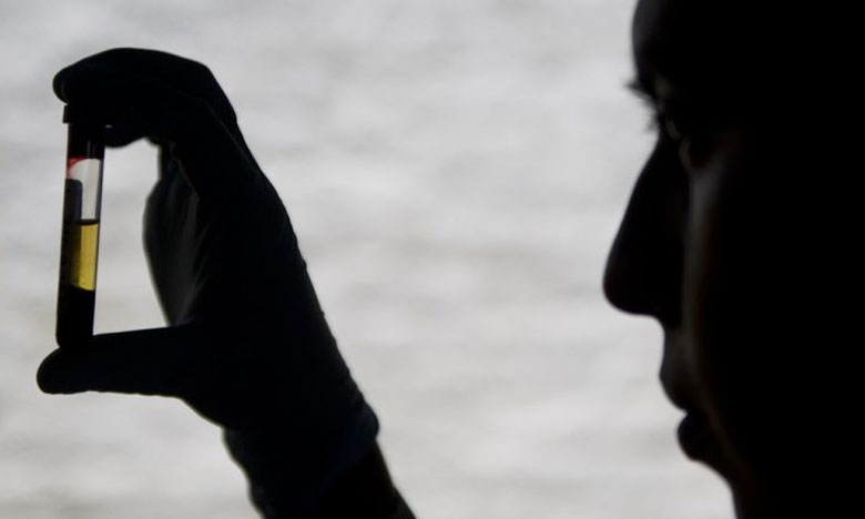 Investigadores portugueses provam eficácia de fármaco contra parasita da malária