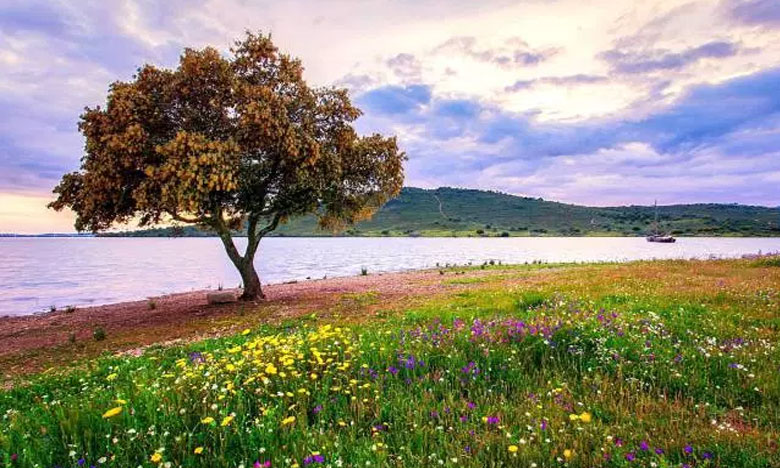 Jornalista britânico considera Portugal um dos países líderes no ambiente