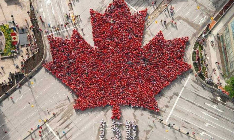 Luso-canadiana pede medidas para legalizar trabalhadores indocumentados