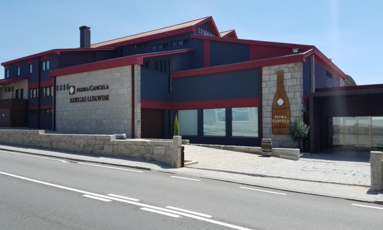 Lusovini monta campo de ensaio de produção de uvas em Angola 11 Lusovini monta campo de ensaio de produção de uvas em Angola