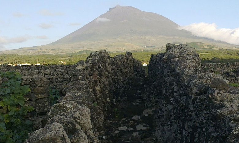 Madalena do Pico eleita Cidade Portuguesa do Vinho 2017 11 Madalena do Pico eleita Cidade Portuguesa do Vinho 2017