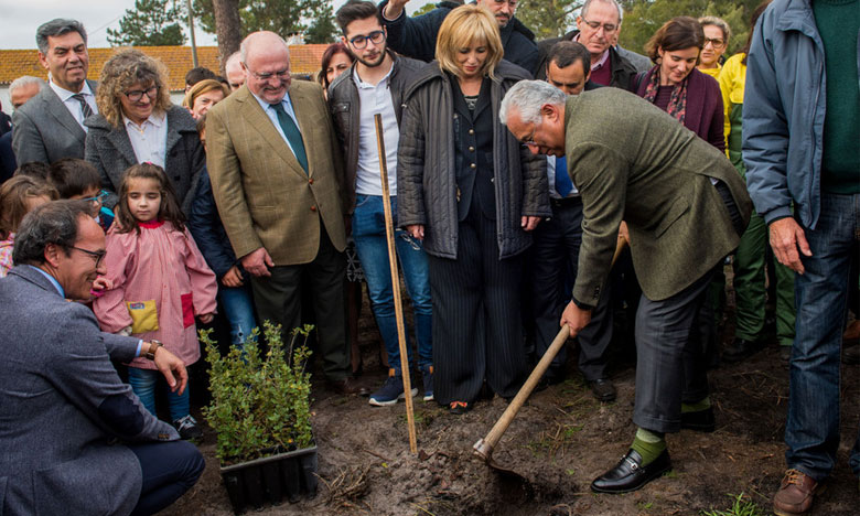 Marcelo, Costa e mais 20 membros do Governo participam na limpeza da floresta portuguesa