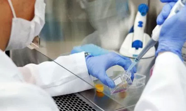 Medicamento para malária pode curar e proteger numa única dose