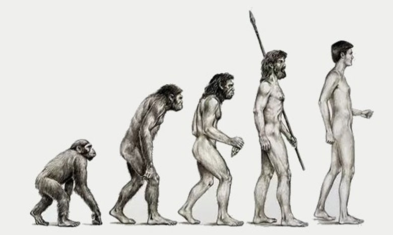 Paleoantropóloga portuguesa questiona estudo sobre origem dos humanos