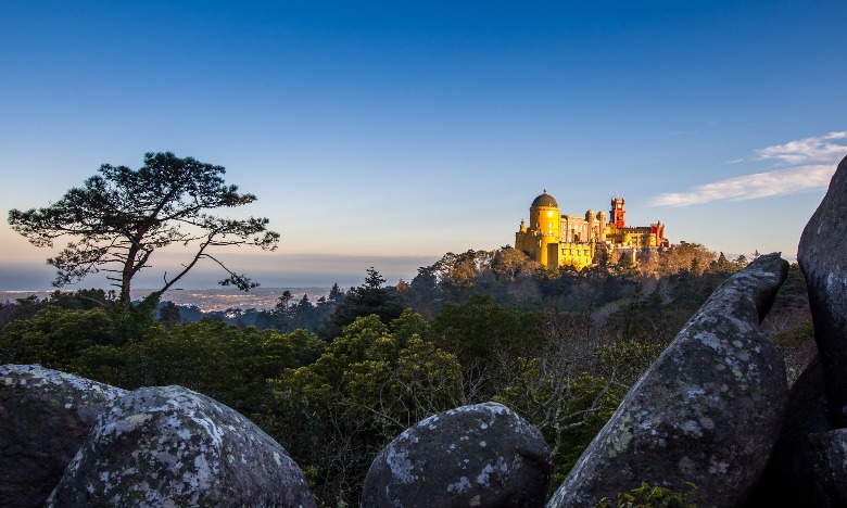 Parques de Sintra nomeada para ‘Melhor Empresa do Mundo em Conservação’ 11 Parques de Sintra nomeada para ‘Melhor Empresa do Mundo em Conservação’