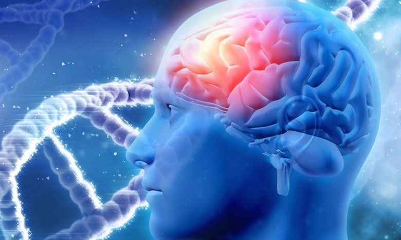 Perda de memória provocada pelo Alzheimer pode ser revertida