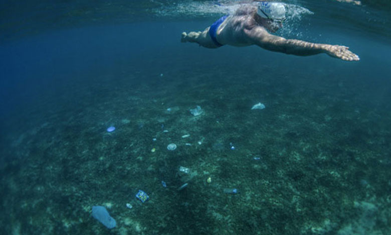 Portugal vai entregar na ONU 10 compromissos para conservação dos oceanos