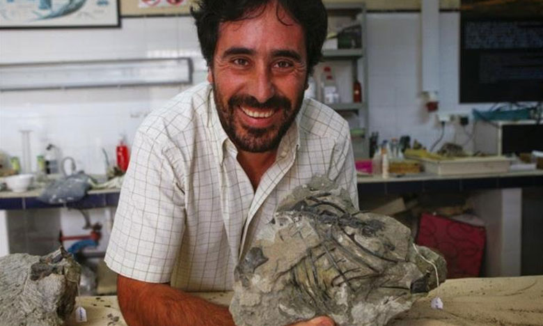 Português descobre fósseis com 200 milhões de anos na Gronelândia