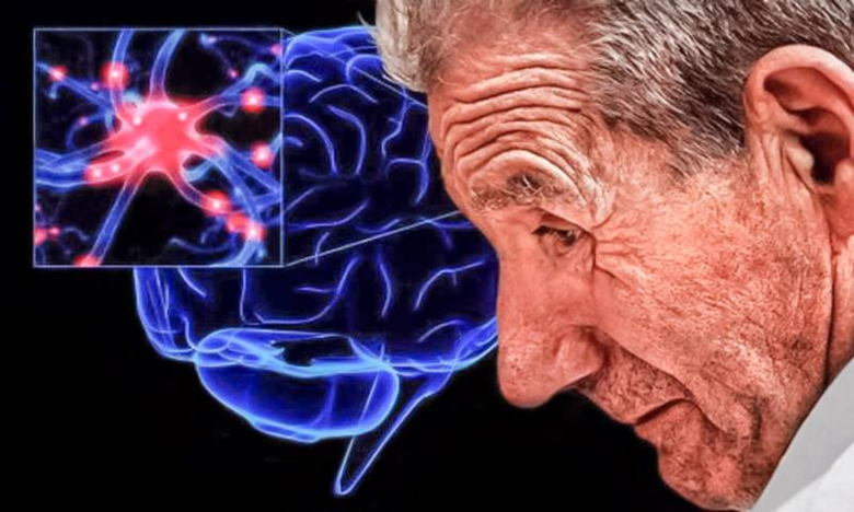 Portugueses colaboram na descoberta de novo gene associado à Doença de Parkinson