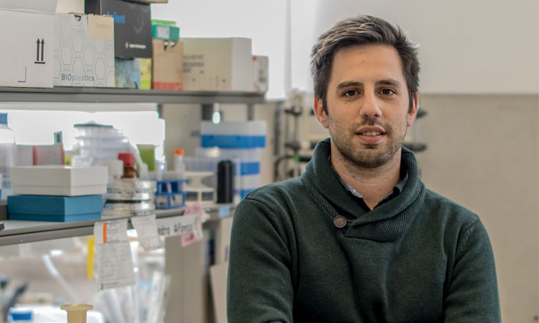 Portugueses descobrem molécula que aumenta o canal de comunicação entre neurónios