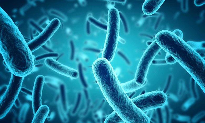 Portugueses descobrem novo mecanismo com efeito protetor contra sépsis