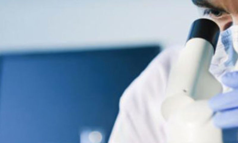 Seis investigadores portugueses recebem bolsas do Conselho Europeu