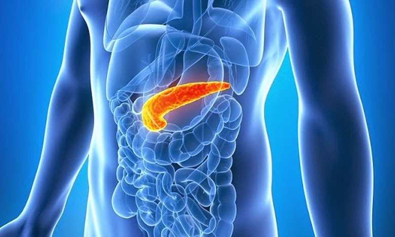 Terapia pode alargar sobrevivência de doentes com cancro do pâncreas