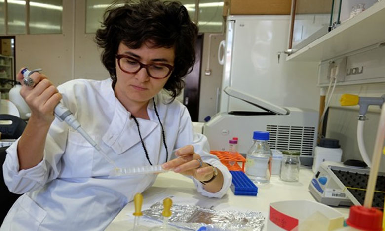 Três cientistas em Portugal terão bolsas de investigação de 600 mil euros