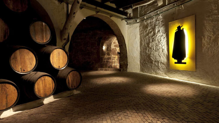 Caves Sandeman oferecem visitas guiadas a pensar nos mais novos