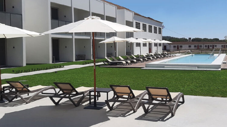 Experiência única de vindimar faz parte da oferta turística do Hotel Herdade da Barrosinha 11 Experiência única de vindimar faz parte da oferta turística do Hotel Herdade da Barrosinha