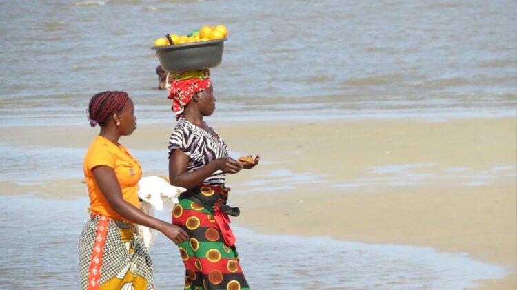 Gestão eletrónica de apoio às vítimas de calamidades ativada pelo Governo moçambicano