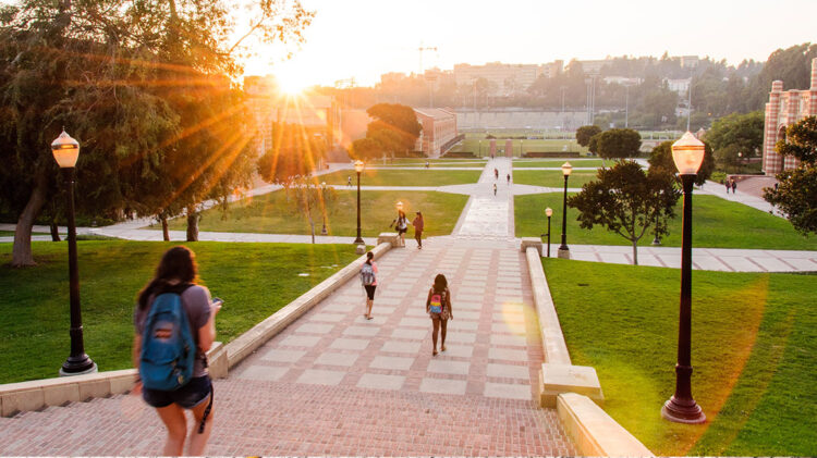 Governo facilita condições de acesso dos emigrantes ao ensino superior 11 Governo facilita condições de acesso dos emigrantes ao ensino superior