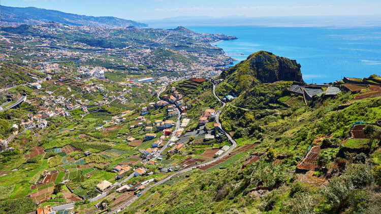 Madeira quer incluir emigrantes no regime de seguro social voluntário 11 Madeira quer incluir emigrantes no regime de seguro social voluntário