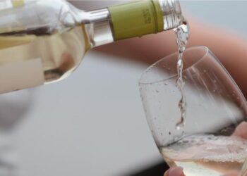 Sexta edição do Verde Cool convida para um “copo” e um petisco a preço especial