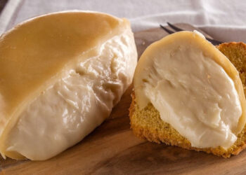 Uma rota turística e gastronómica para promover queijos da região Centro