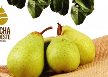 Assinado acordo EU – China sobre proteção das Indicações Geográficas