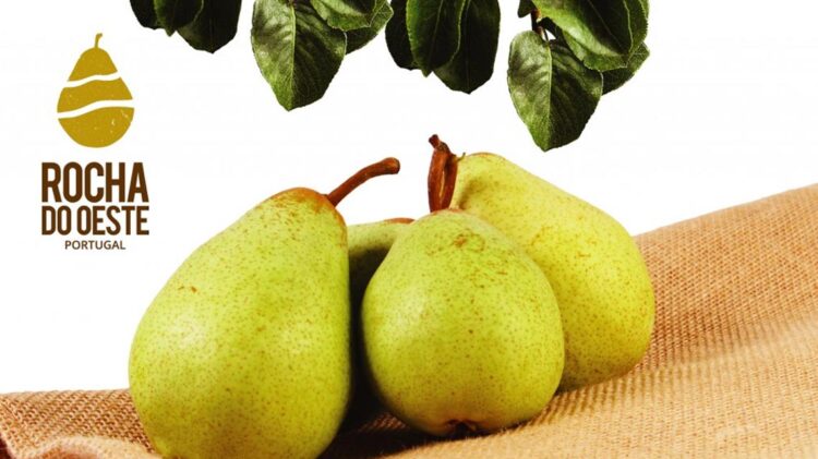 Assinado acordo EU – China sobre proteção das Indicações Geográficas 11 Assinado acordo EU – China sobre proteção das Indicações Geográficas