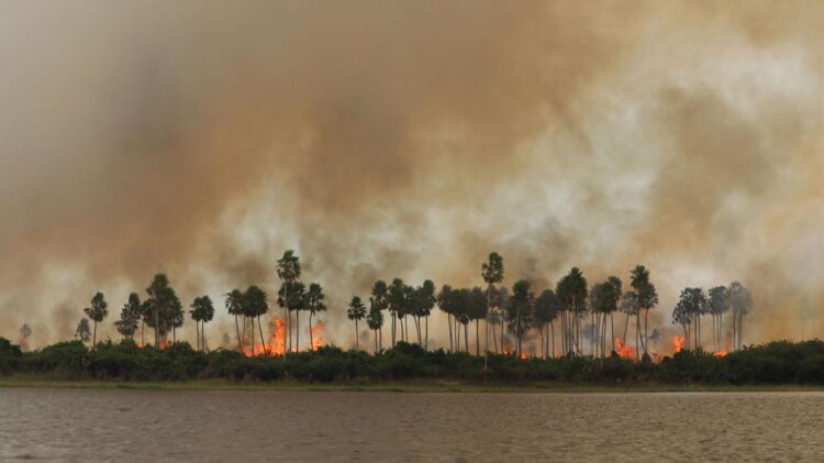 Brasil - Autoridades pedem mais reforços para combater fogos no Pantanal